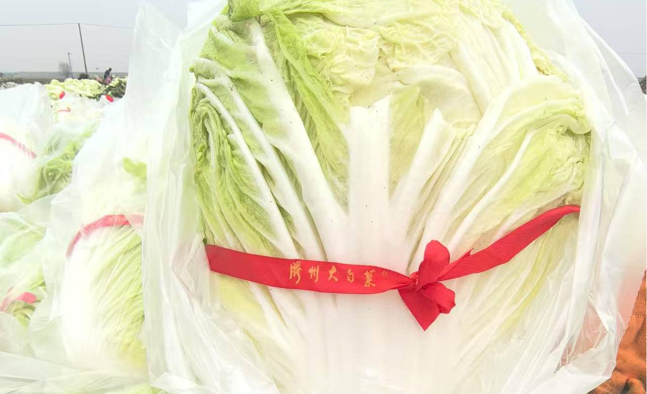 cf8f5fe8d989549505eab291877e31b.jpg cf8f5fe8d989549505eab291877e31b.jpg